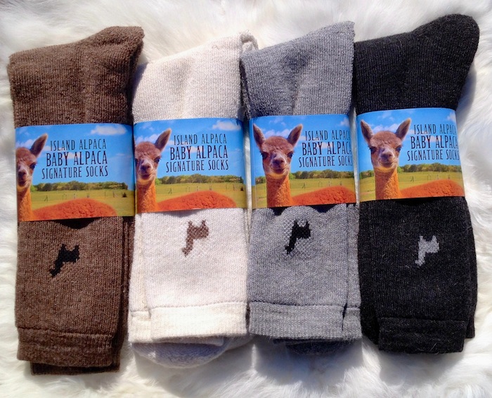Follkee Alpaca Wool Socks Women's and Men's Perfect for Fall Hiking Great  Gift Idea