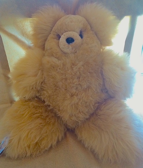 llama fur teddy bear