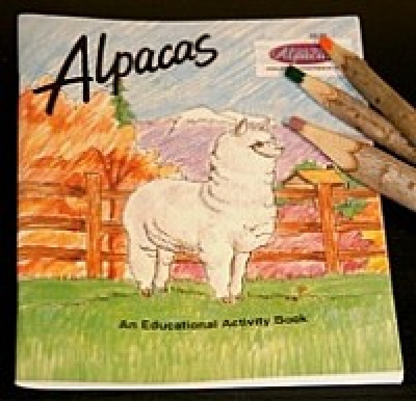 Alpaca activity book childrens toy island alpaca martha's vineyard