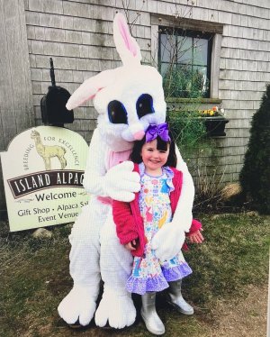 Meet the Easter Bunny and Alpaca for all ages kids