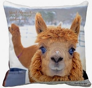 Alpaca pillow stuffed cushion Island Alpaca