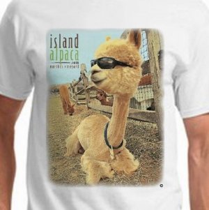 This comfortable, white, cotton tee, offers style and comfort, with a fun photo of our favorite sylin' alpaca, Island Alpaca Roberto! Our Island Alpaca Logo appears on the front, the back is blank.  Composition: 100% Pre-Shrunk Cotton