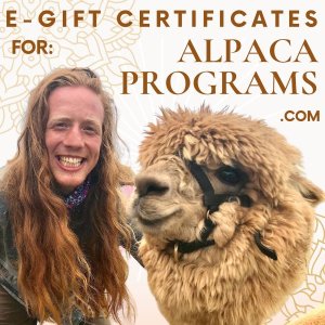 Electronic E Gift Certificate for Special programs gift voucher