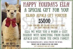 Alpaca Gift Alpaca toy 