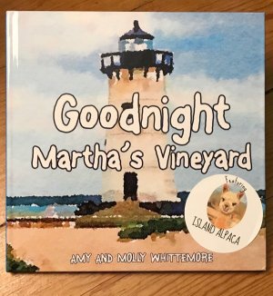 Good Night Martha's Vineyard Childrens book
