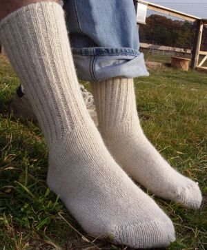 alpaca socks for men and women